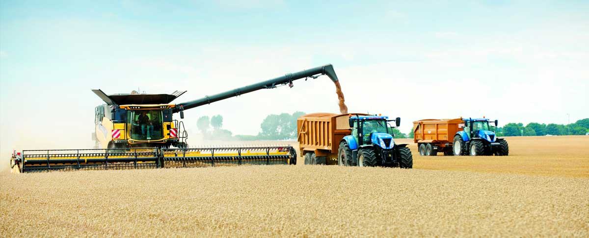 agricultura